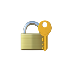 Security Icon 1